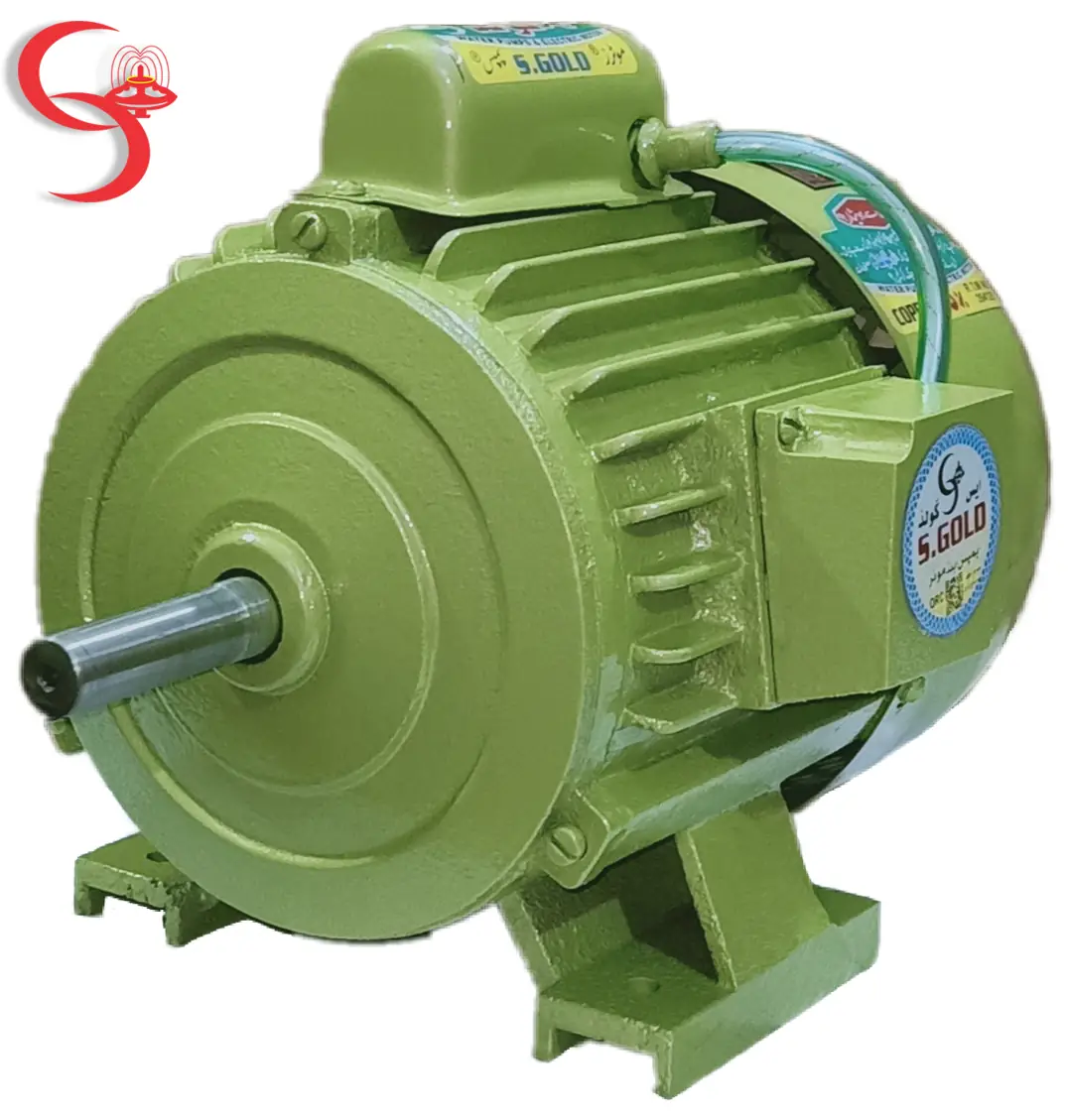 S.Gold صنعتی Flanged پمپ